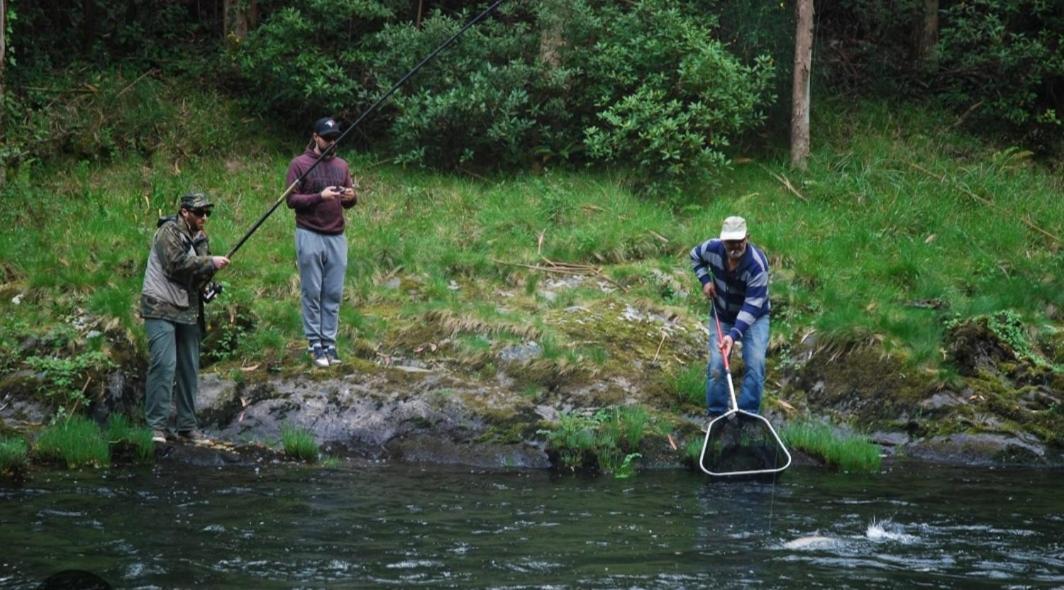 Caño La Salmonera Cangas De Onis מראה חיצוני תמונה
